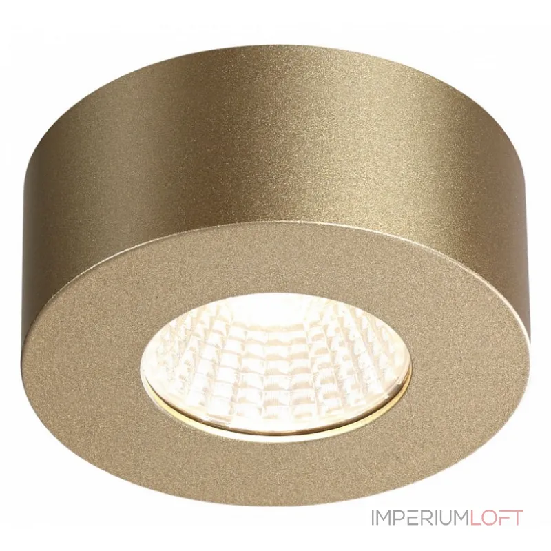 Накладной светильник Odeon Light Bene 4284/7CL Цвет арматуры золото Цвет плафонов золото