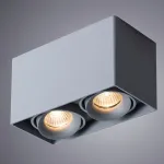 Накладной светильник Arte Lamp Pictor A5654PL-2GY от ImperiumLoft