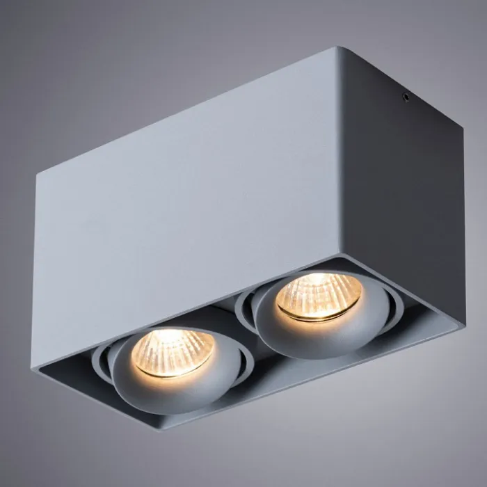 Накладной светильник Arte Lamp Pictor A5654PL-2GY от ImperiumLoft