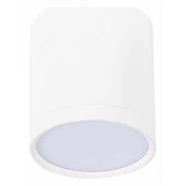 Накладной светильник ST-Luce Rene ST113.532.05 Цвет арматуры белый Цвет плафонов белый