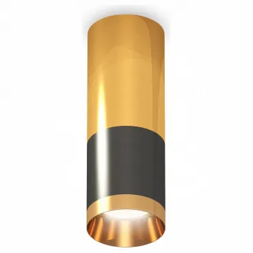 Накладной светильник Ambrella Techno Spot 204 XS6303050 Цвет арматуры золото Цвет плафонов черный