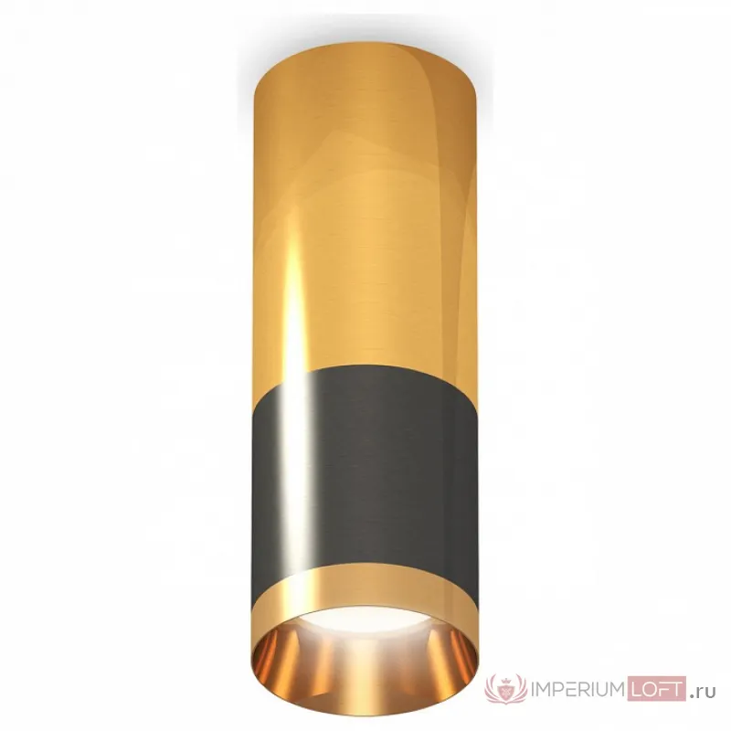 Накладной светильник Ambrella Techno Spot 204 XS6303050 Цвет арматуры золото Цвет плафонов черный от ImperiumLoft