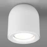 Накладной светильник Elektrostandard DLN116 a050672 Цвет плафонов белый Цвет арматуры белый