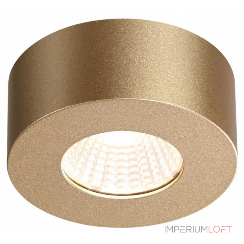 Накладной светильник Odeon Light Bene 4284/7CL Цвет арматуры золото Цвет плафонов золото
