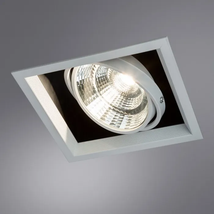 Встраиваемый светильник Arte Lamp Merga A8450PL-1WH Цвет арматуры Белый от ImperiumLoft