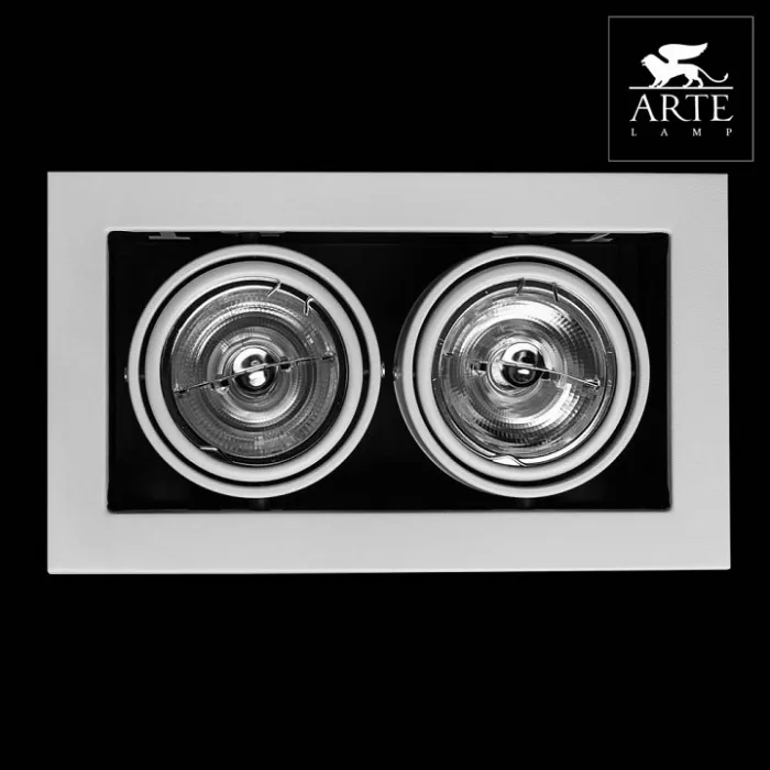 Встраиваемый светильник Arte Lamp Technika 2 A5930PL-2WH Цвет арматуры белый Цвет плафонов белый от ImperiumLoft