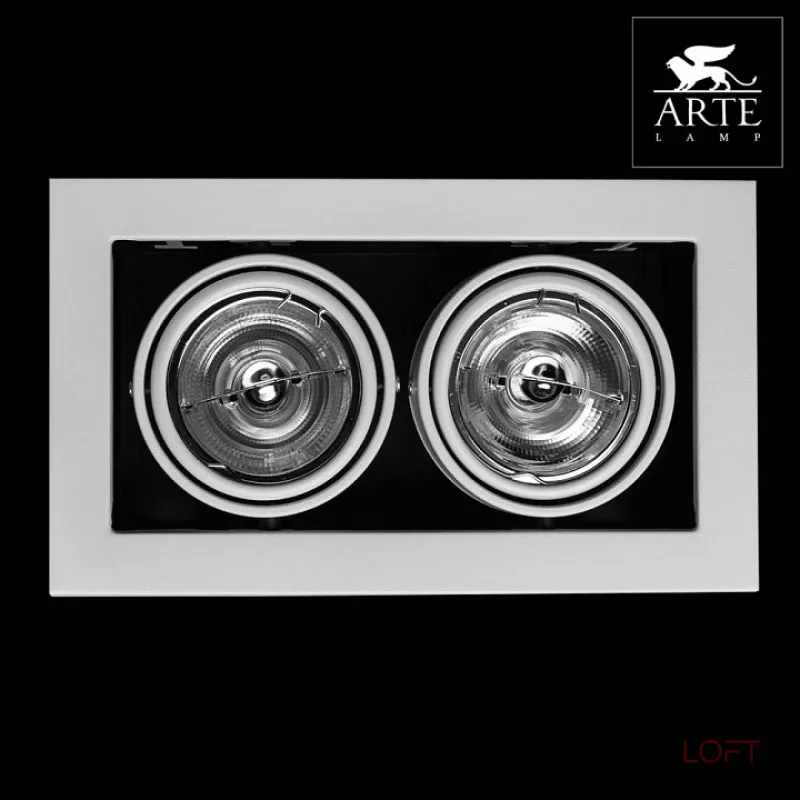 Встраиваемый светильник Arte Lamp Technika 2 A5930PL-2WH Цвет арматуры белый Цвет плафонов белый