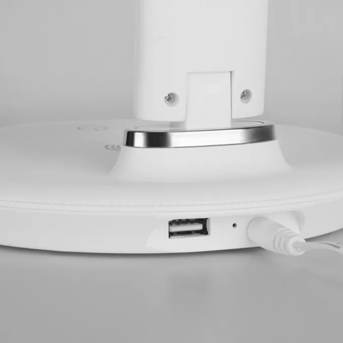 Настольная лампа офисная Elektrostandard TL90530 a047272 Цвет арматуры белый Цвет плафонов белый от ImperiumLoft