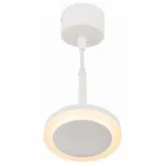 Подвесной светильник Denkirs DK402 DK4022-WH 