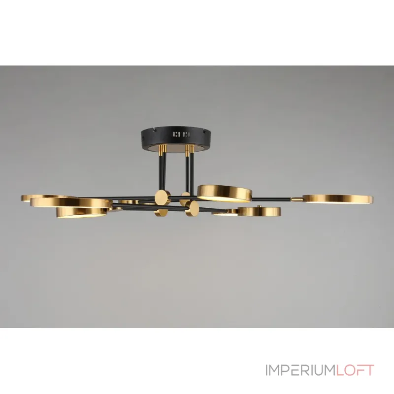 Потолочная люстра Aployt Ines APL.043.07.65 Потолочная люстра Aployt Ines APL.043.07.65