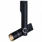 Потолочный светильник Arte Lamp 2514 A2514PL-1BK 