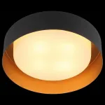 Накладной светильник ST-Luce Chio SL392.422.04 от ImperiumLoft
