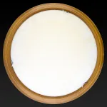 Потолочный светильник TopLight Ginger TL9620Y-00OA 