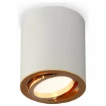 Накладной светильник Ambrella Techno 248 XS7423022 Цвет арматуры золото от ImperiumLoft