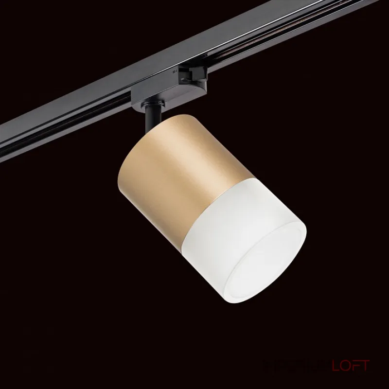 Трековый светильник Lightstar Rullo R1T349081