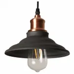 Подвесной светильник Arte Lamp 5067 A5067SP-1BK 