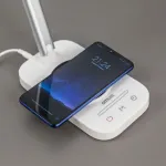 Настольная лампа декоративная Citilux Ньютон CL803051 от ImperiumLoft