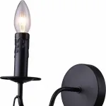 Бра Arte Lamp Marsiglia A8956AP-1BK Цвет арматуры коричневый Цвет плафонов разноцветный