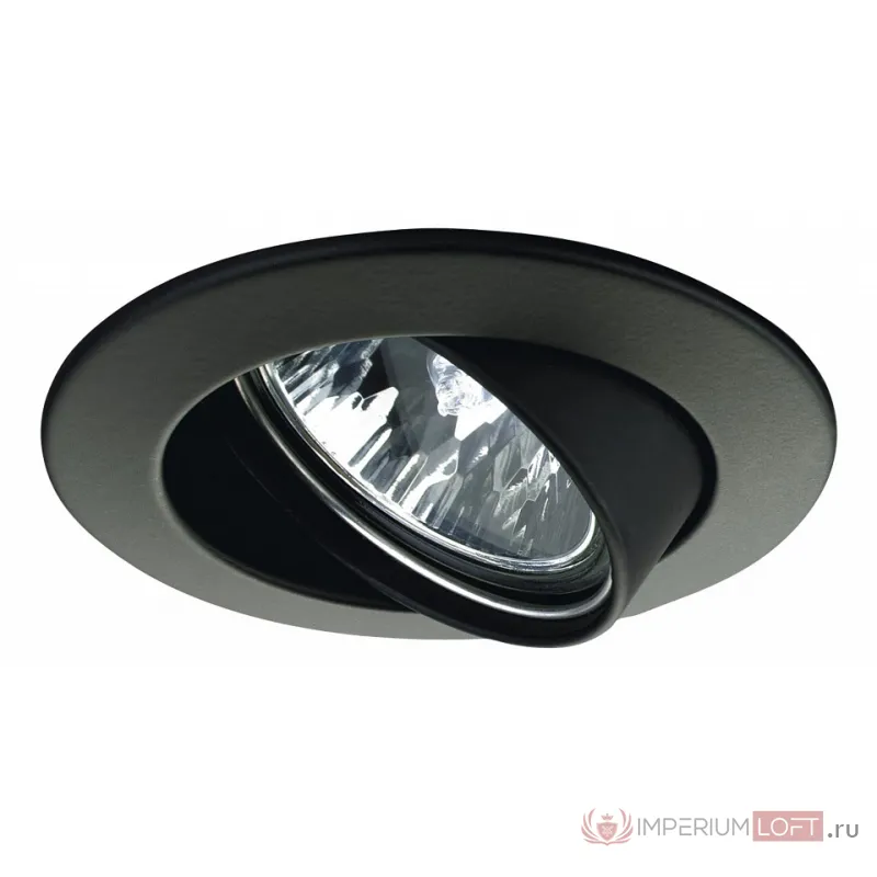 Встраиваемый светильник Paulmann Premium Line 17951 Цвет арматуры черный Цвет плафонов черный от ImperiumLoft
