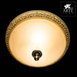 Потолочный светильник Arte Lamp Ivory A9070PL-2AB