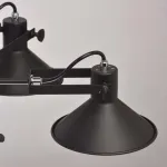 Люстра на штанге MW-Light Даунтаун 3 691010805 Цвет арматуры черный Цвет плафонов черный от ImperiumLoft