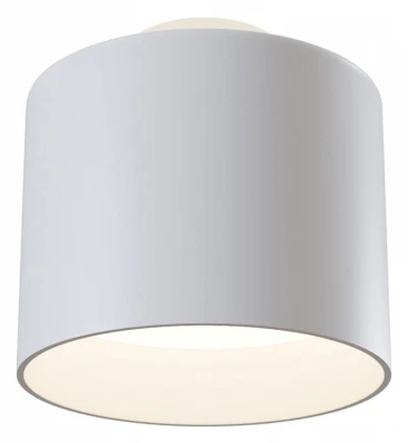 Потолочный светильник Technical C009CW-L12W