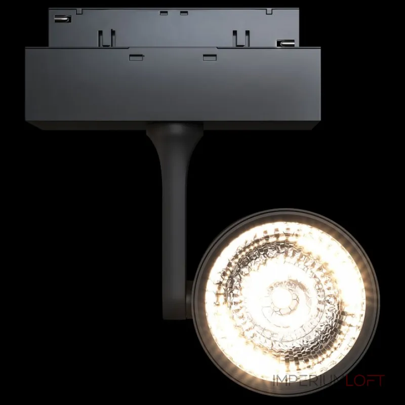 Светильник на штанге Maytoni Track lamps 3 TR024-2-10B3K Цвет арматуры черный Цвет плафонов черный