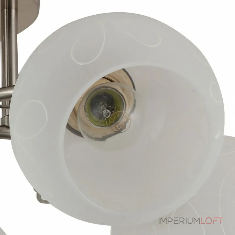 Потолочная люстра Rivoli Quanti Б0044443 