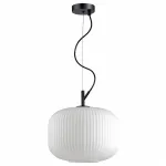 Подвесной светильник Odeon Light Roofi 4754/1 Цвет плафонов белый Цвет арматуры черный от ImperiumLoft