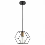 Подвесной светильник Vele Luce Luca 654 VL6232P01 
