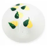 Потолочный светильник TopLight Enilu TL9460Y-02OA 