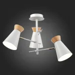 Потолочная люстра EVOLUCE Alfeo SLE1252-502-03 от ImperiumLoft