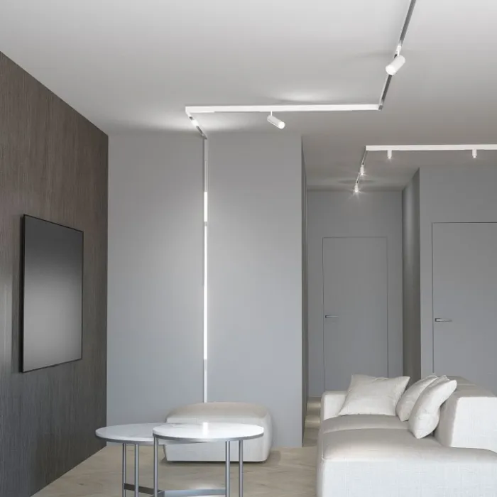 Встраиваемый светильник Elektrostandard Slim Magnetic Wl 85007/01 от ImperiumLoft