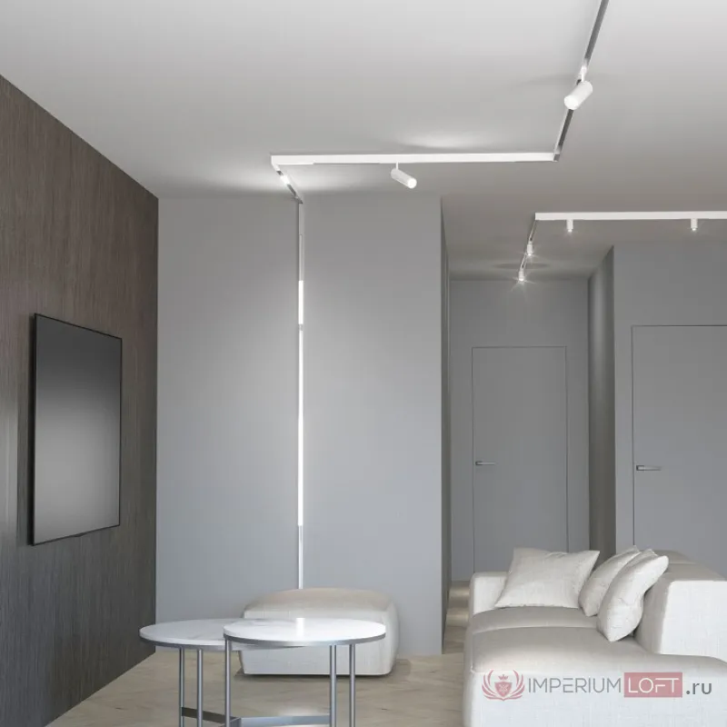 Встраиваемый светильник Elektrostandard Slim Magnetic Wl 85007/01 от ImperiumLoft