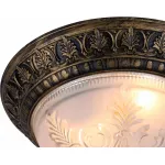Потолочный светильник Arte Lamp Piatti A8005PL-2BN 