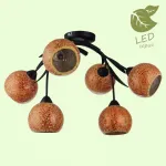 Потолочная люстра Lussole Bagheria GRLSF-6213-06