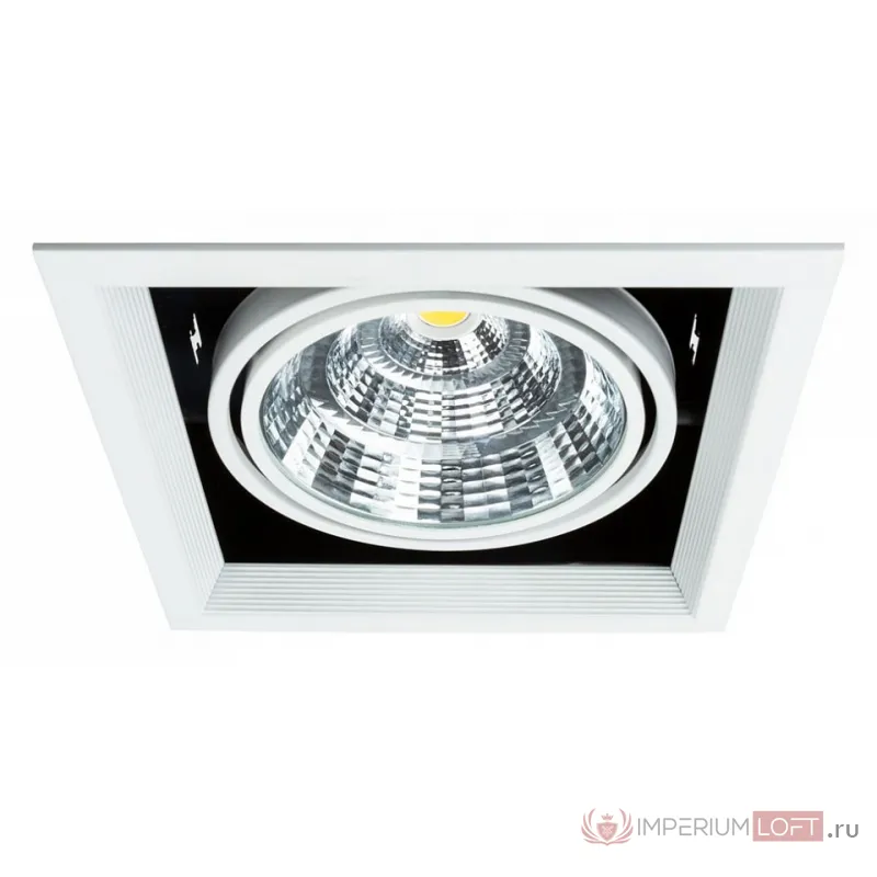 Встраиваемый светильник Arte Lamp Merga A8450PL-1WH Цвет арматуры Белый от ImperiumLoft