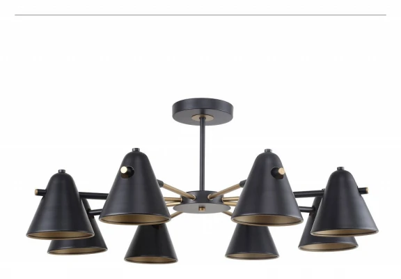 Люстра на штанге F-promo Rigor 2844-8P 