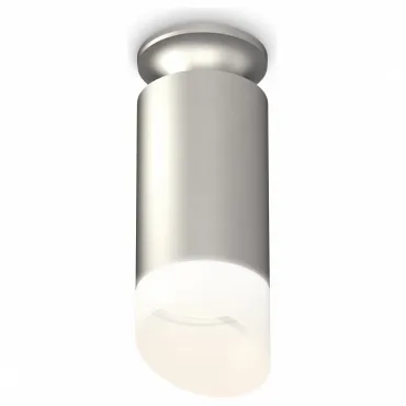 Накладной светильник Ambrella Techno Spot 263 XS6324082 Цвет арматуры серебро Цвет плафонов белый