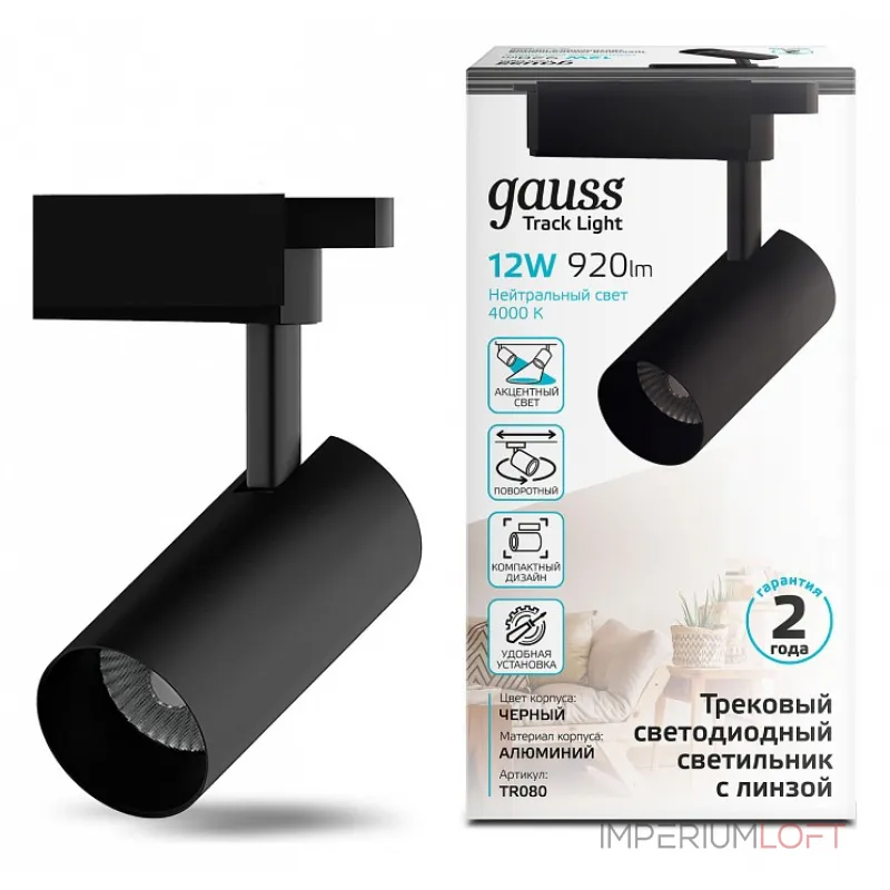 Светильник на штанге Gauss TR TR080 Цвет плафонов черный