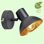 Спот Lussole Louisville GRLSP-9973 от ImperiumLoft