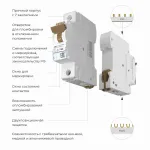 Автоматический выключатель 1P Werkel Автоматические выключатели W901P164 от ImperiumLoft