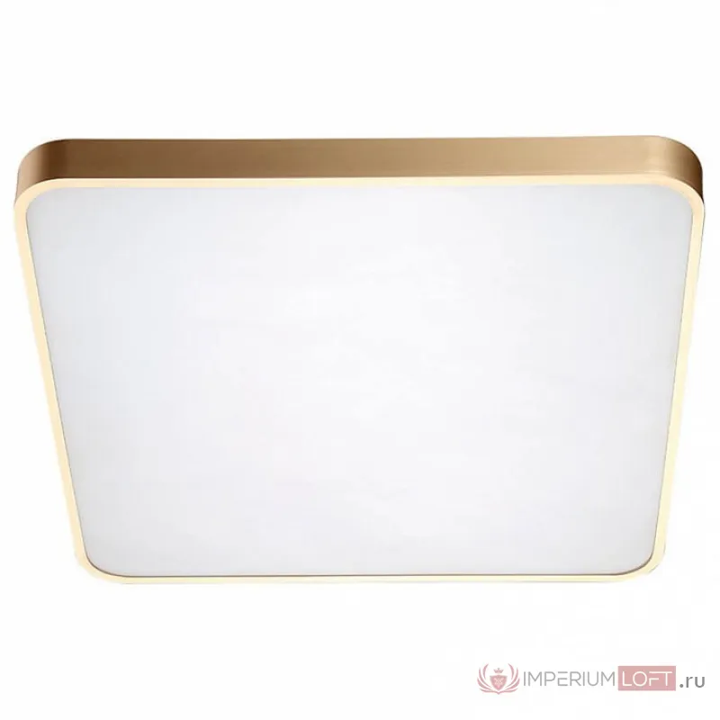 Накладной светильник Zumaline Sierra 12100005-GD Цвет арматуры золото Цвет плафонов белый от ImperiumLoft