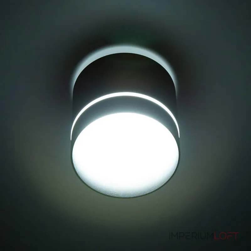 Накладной светильник Citilux Борн CL745021N