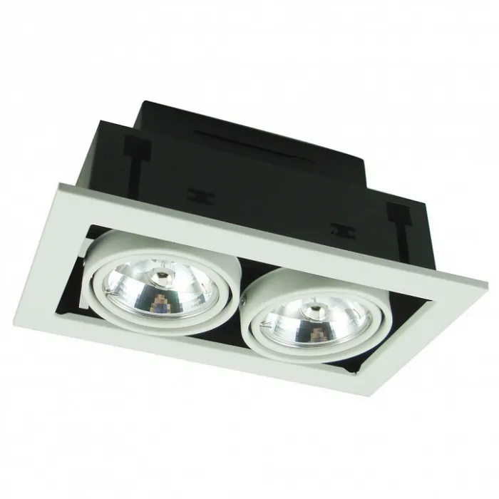 Встраиваемый светильник Arte Lamp Technika 2 A5930PL-2WH Цвет арматуры белый Цвет плафонов белый от ImperiumLoft