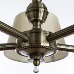 Подвесная люстра Arte Lamp 2273 A2273LM-5AB 