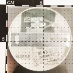 Подвесной светильник Citilux Оми CL945115 