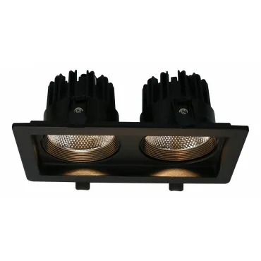 Встраиваемый светильник Arte Lamp Privato A7007PL-2BK Цвет арматуры черный Цвет плафонов белый