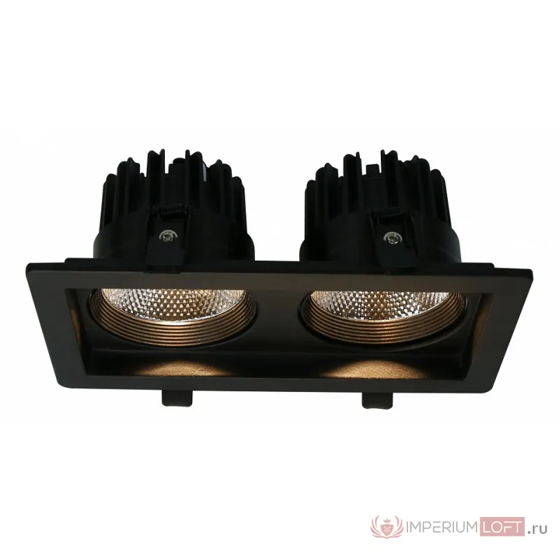 Встраиваемый светильник Arte Lamp Privato A7007PL-2BK Цвет арматуры черный Цвет плафонов белый от ImperiumLoft