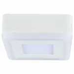 Накладной светильник Arte Lamp Altair A7706PL-2WH Цвет арматуры белый Цвет плафонов белый